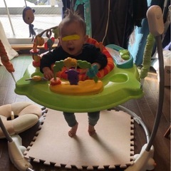 ジャンピングバウンサー　ジャンパルー　ぴょんぴょんジャンプ　おもちゃの画像