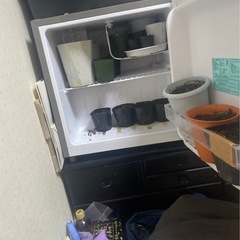 リンゴの種6つ3セットの画像