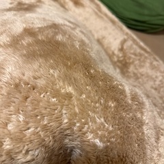 ニトリ Nウォーム16BE ラグ（約200×250cm）(取りに来ていただける方限定)の画像