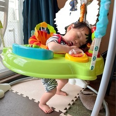 ジャンピングバウンサー　ジャンパルー　ぴょんぴょんジャンプ　おもちゃの画像