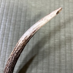 ニホンジカの角の飾り物 いっつい一対の画像