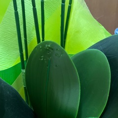 胡蝶蘭　造花　光触媒　新店祝い　の画像
