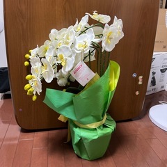 胡蝶蘭　造花　光触媒　新店祝い　の画像
