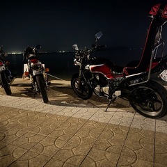 ジェイド三段シートの画像