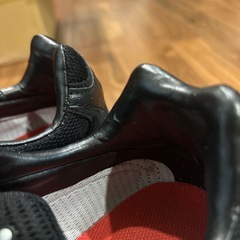 SUPREME×NIKE AIR ZOOM STREAK SPECTRUMの画像