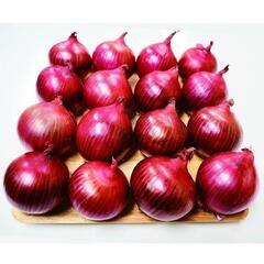 玉ねぎ苗　ネオアース　赤玉ねぎ　苗　１０本　１００円の画像