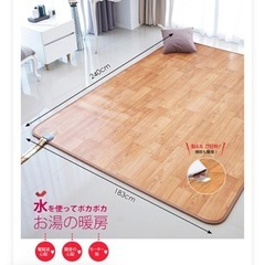 温水床カーペットの画像