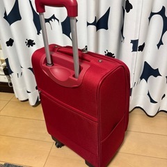 キャリーバッグの画像