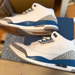 【中古】Air Jordan 3 Wizard 28.5cm インソールは未使用の画像