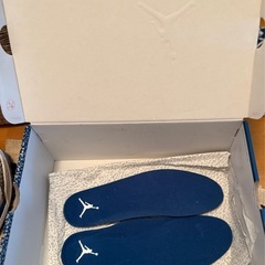 【中古】Air Jordan 3 Wizard 28.5cm インソールは未使用の画像