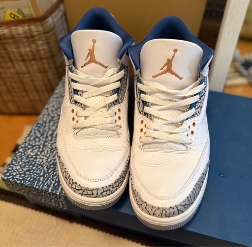 【中古】Air Jordan 3 Wizard 28.5cm インソールは未使用