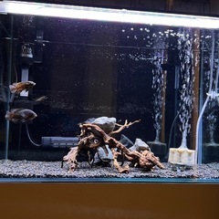 600水槽、上部フィルター(3段 仕様)、水槽台、3点セット！の画像