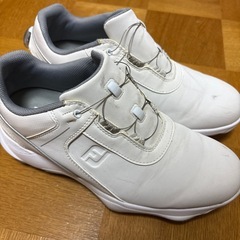 フットジョイ　BOA搭載　ゴルフシューズ　26.0の画像