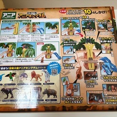 アニア  アニアキングダムの画像