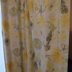 江戸川区南葛西　ニトリ　カーテン　100×178の画像
