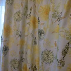 江戸川区南葛西　ニトリ　カーテン　100×178の画像