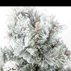 studio clipクリスマスツリーの画像