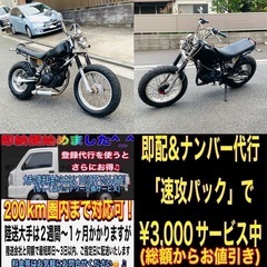 ヤマハTW200 お洒落スカチューンカスタム^_^の画像