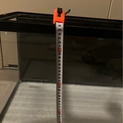 水槽②の画像