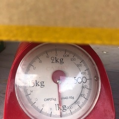 【定型文の方には返信いたしません】キウイフルーツ （緑）１キロの画像