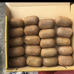 【定型文の方には返信いたしません】キウイフルーツ （緑）１キロ