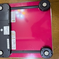 体重系無料でお譲りしますの画像