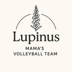 宇都宮11/30.ママさんバレーボールチーム メンバー募集 🫧