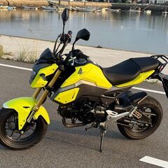 【整備済み・美車！】GROM（グロム）JC61　2016年モデル　希少カラー　自賠残！の画像