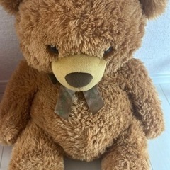 くまのぬいぐるみ (大)の画像