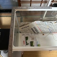 ６０センチ水槽
の画像
