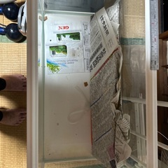６０センチ水槽
の画像