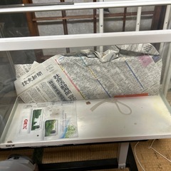 ６０センチ水槽
の画像