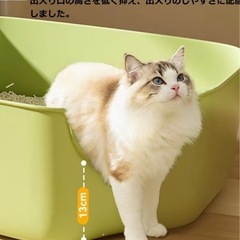 値下げ‼️【新品未使用】猫トイレ 大型の画像