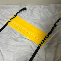 トレーニング ラダー 子供 サッカー フットサル スポーツ 基礎 瞬発力 3mの画像