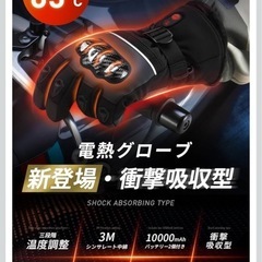 電熱グローブ　　の画像