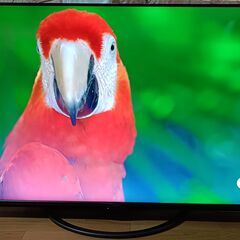 無料配送 2019年 SHARP AQUOS 6０V型 4T-C60AN1 4K液晶テレビ Smart Engine PRO HDR10 Youtube NETFLIX 多機能音声リモコンの画像