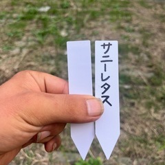 園芸札 100枚入×5の画像