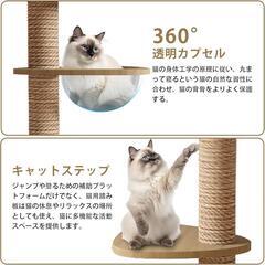 キャットタワー 突っ張り 木製 キャットツリー 木登りタワーの画像