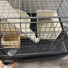 動物のゲージ等グッズの画像
