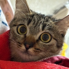 おめめクリクリ女子！ゆずちゃん♡