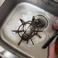 都市ガス用
コンロの画像