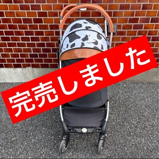 ⭐️ご好評につき、商品は完売いたしました。