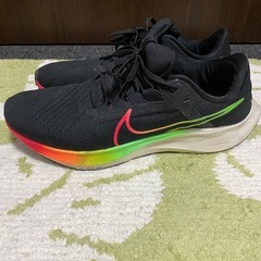 ★お取引中〜　エアズーム　ペガサス　28cmの画像