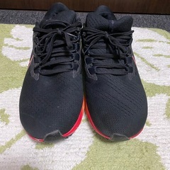 ★お取引中〜　エアズーム　ペガサス　28cmの画像