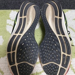 ★お取引中〜　エアズーム　ペガサス　28cmの画像