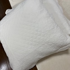 大きめクッション　　２つの画像