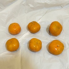 柿６個の画像