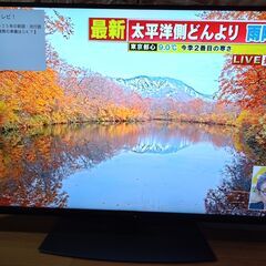 無料配送 2021年 SHARP AQUOS 50V型 4T-C50DN２ 4K液晶テレビ HDR10 Youtube NETFLIX 多機能音声リモコンの画像