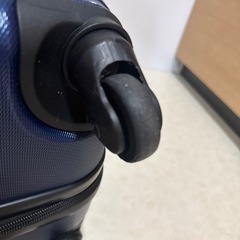 大きめキャリーケースの画像