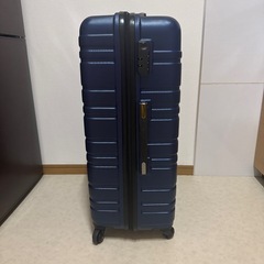 大きめキャリーケースの画像